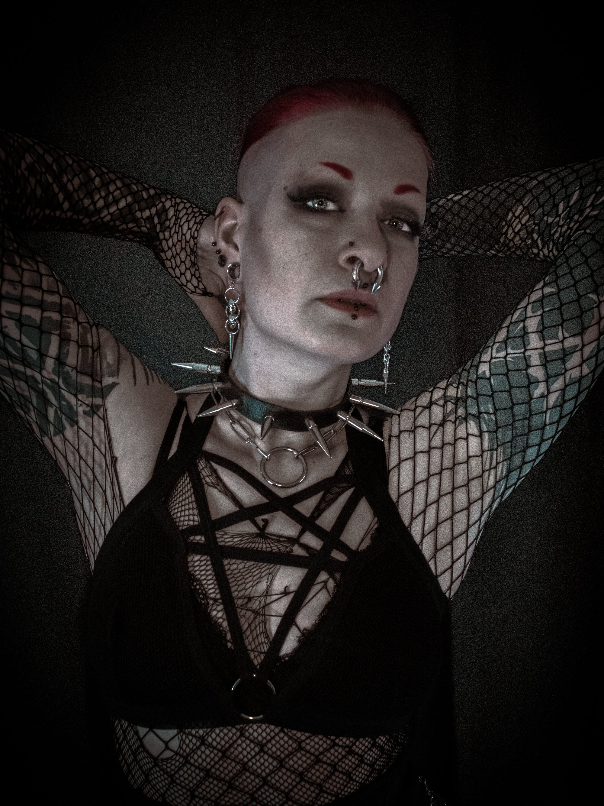 Skull Dangle Tunnel Earrings