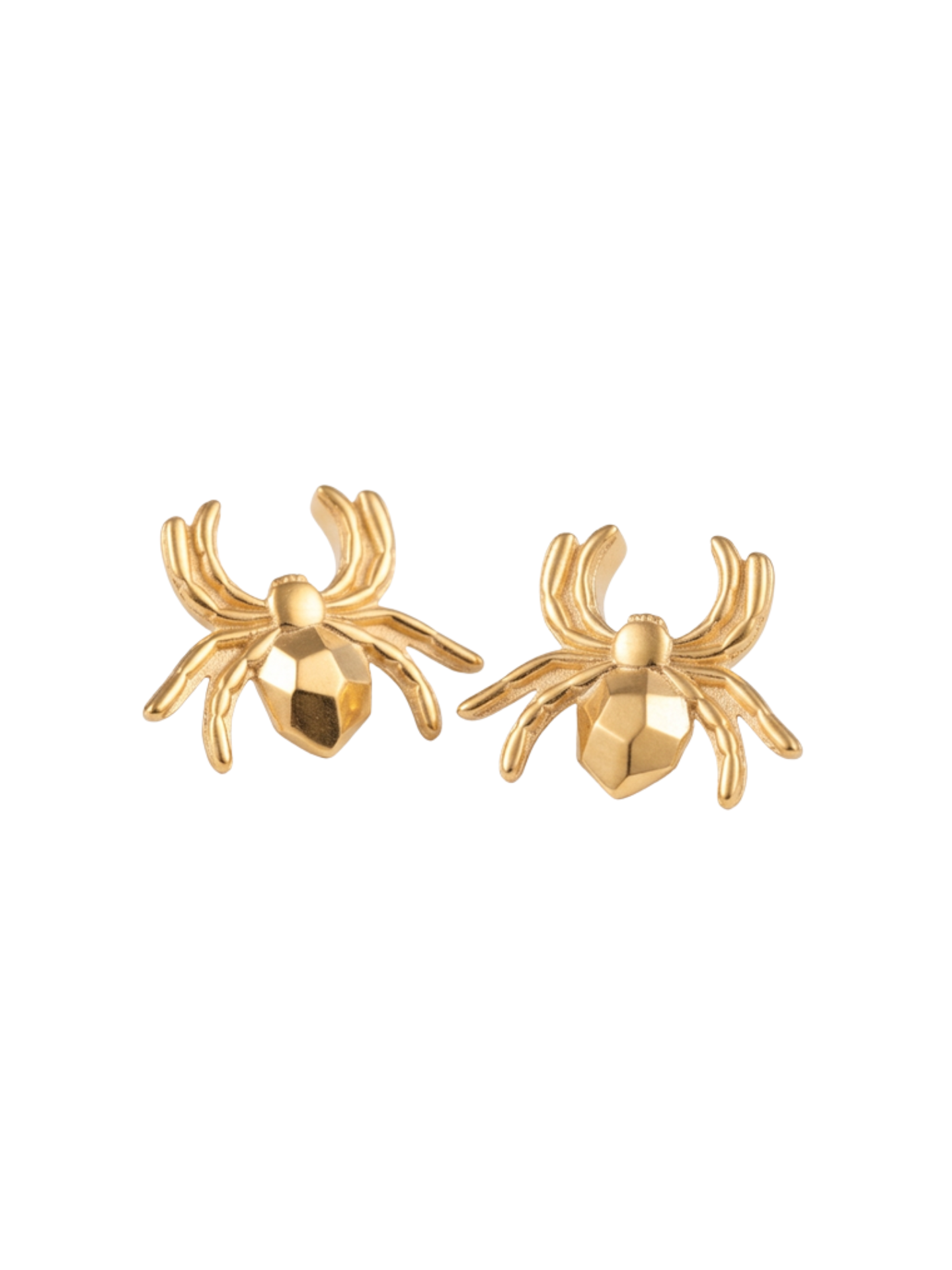 Écarteurs d'Oreille Araignée