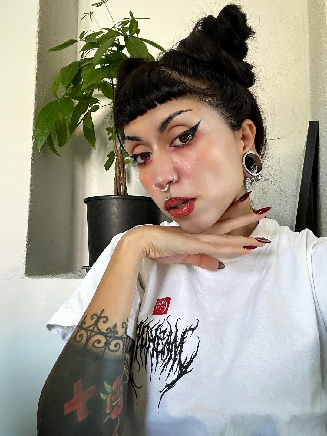 PunkPlugs Flat-Flared Threaded Ear Tunnels