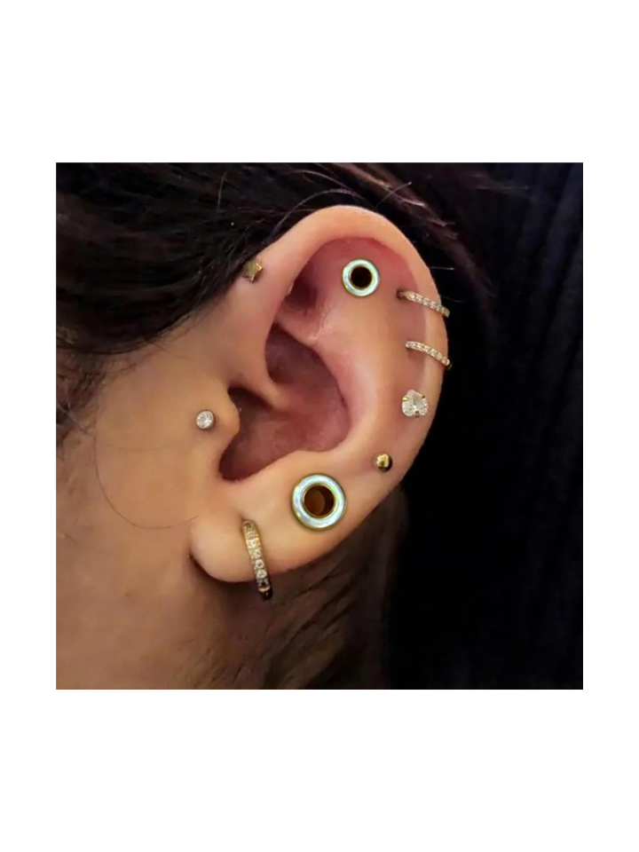 Opalite Inlay Ear Tunnels